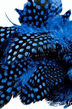 Parelhoen - 3-6 cm - blauw